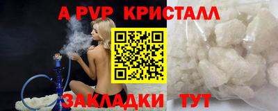 круглые Кингисепп